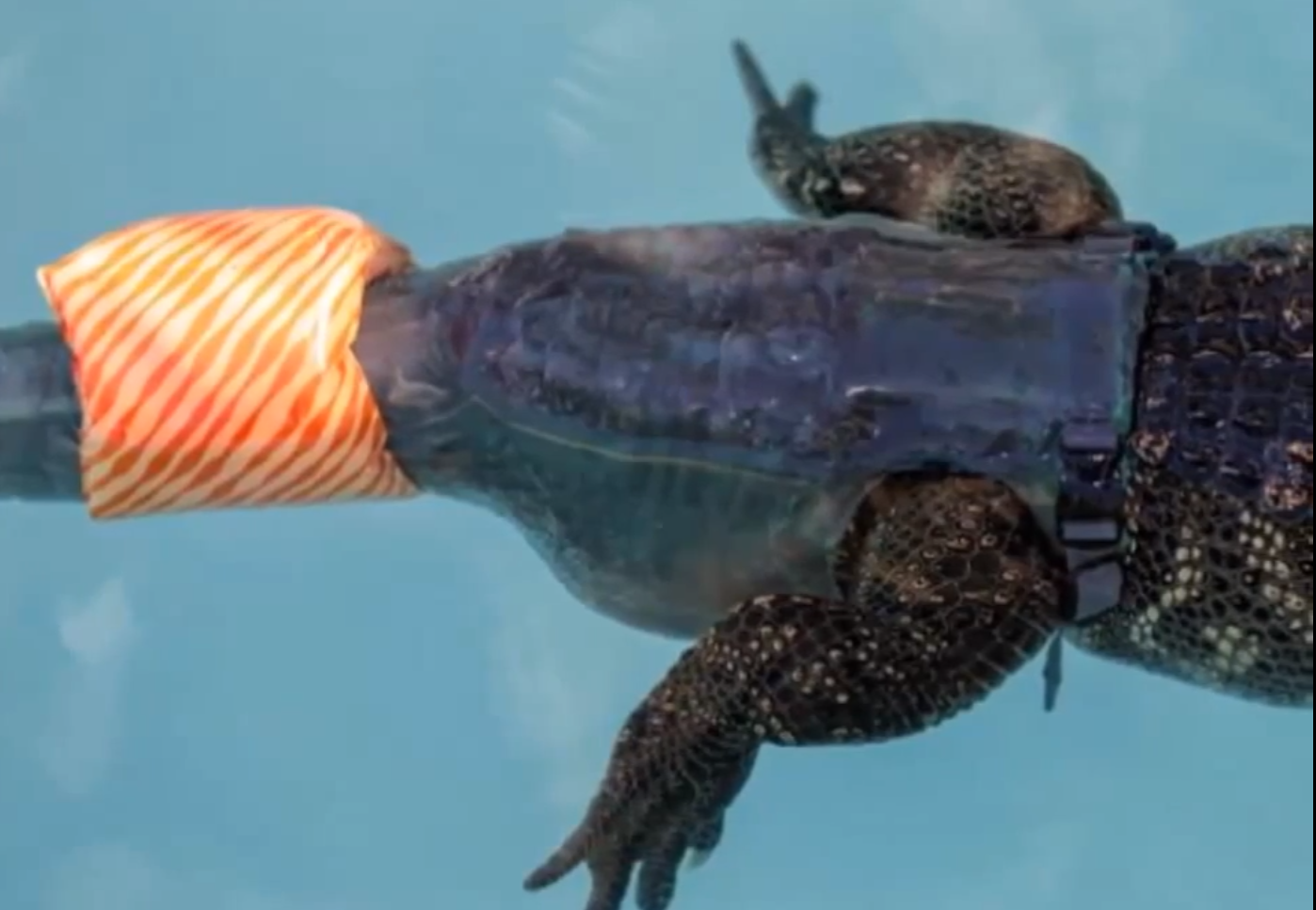 Biten, Hjälp, Alligator, åt upp, svans, svansprotes